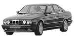 BMW E34 P2485 Fault Code